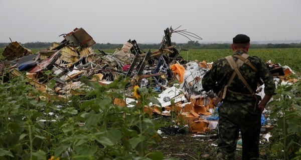 На месте крушения Боинга-777 обнаружили новые человеческие останки