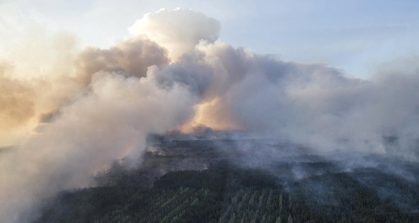 В Чернобыле продолжает гореть трава, кустарники и камыши