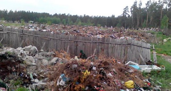 Лесное кладбище тонет в мусоре 