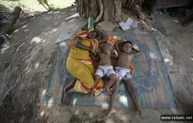 В Индии от жары погибли 335 человек