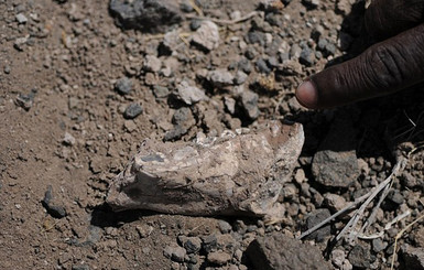 Ученые обнаружили останки неизвестного науке предка человека