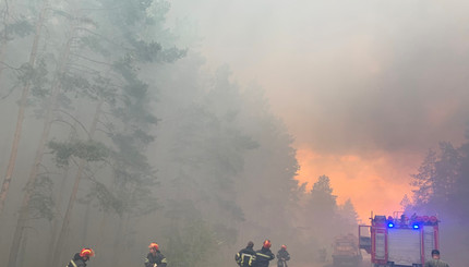Лесной пожар в Луганской области: как тушили и его последствия