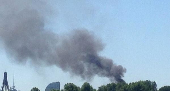 В Киеве в парке Дружбы Народов произошел пожар