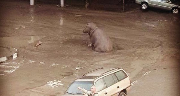 Жители Тбилиси о наводнении: 