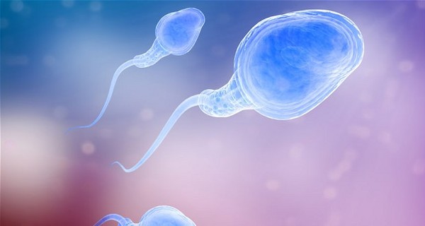 Ученые советуют мужчинам запасаться сперматозоидами смолоду