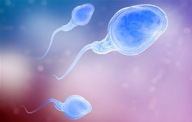 Ученые советуют мужчинам запасаться сперматозоидами смолоду