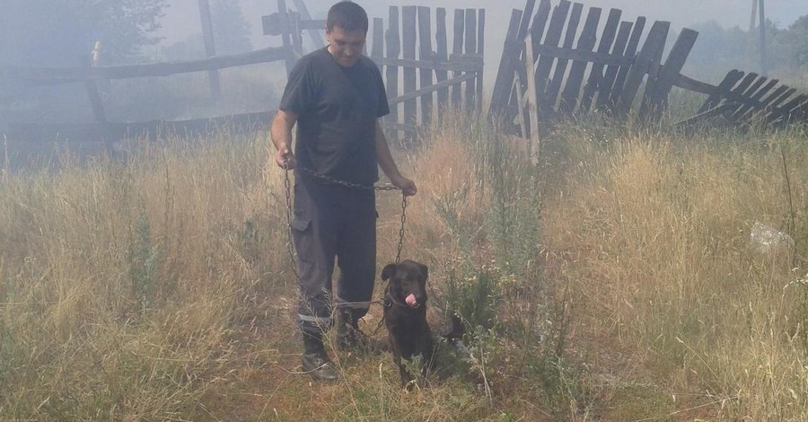 В Киевской области из огня спасли пса