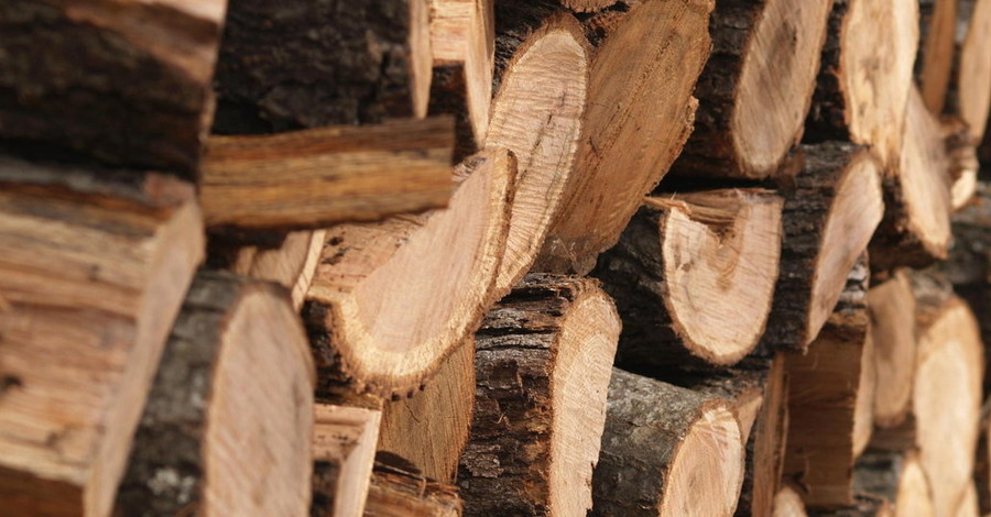 Порошенко запретил экспорт леса в необработанном виде на 10 лет 
