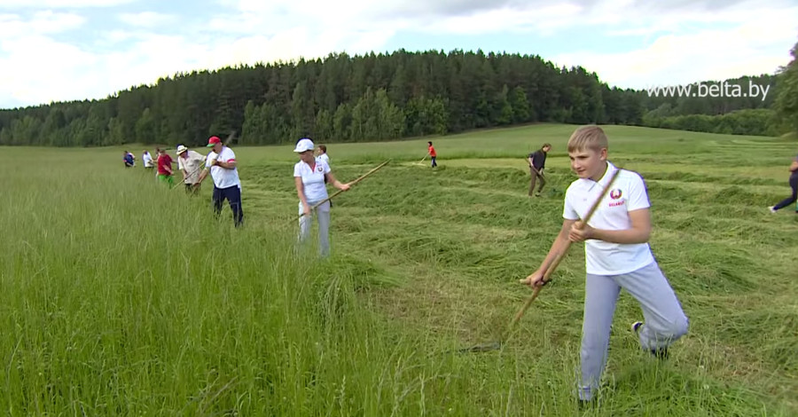 Сын Лукашенко косил траву вместе с Депардье