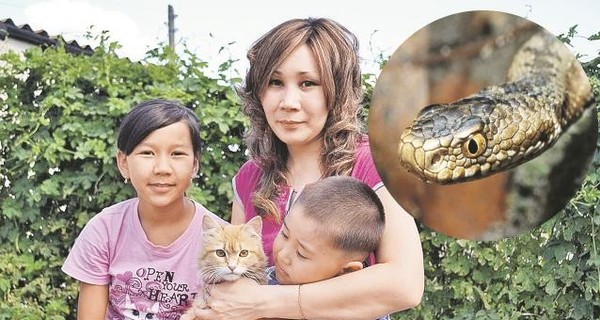 Кот спас детей от гадюки