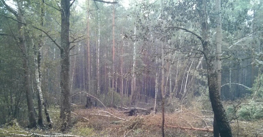 В Киевской области места, где горят торфяники, превращают в болото