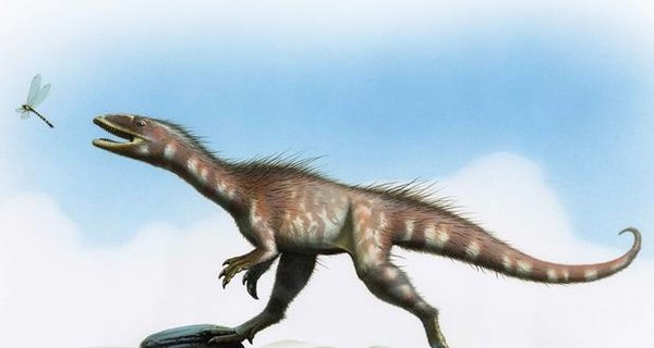 В Великобритании нашли карликового предка тираннозавра, который оказался 