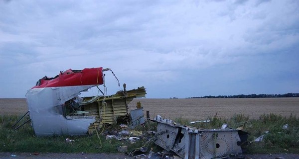 Украина и Нидерланды согласуют стратегию по расследованию катастрофы Боинга в Донбассе 