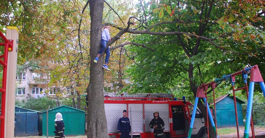 Во Львове спасатели сняли с 4-метрового дерева подростка