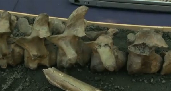 В Иране обнаружен древнейший скелет человека