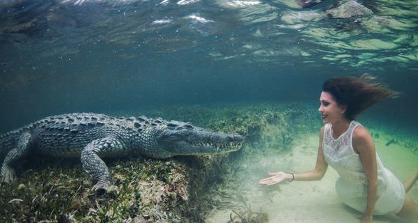 Итальянская модель 10 часов позировала под водой с крокодилом