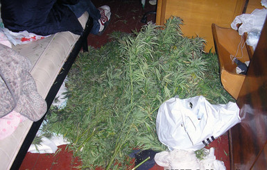  На Волыни у 17-летнего парня нашли почти два килограмма марихуаны