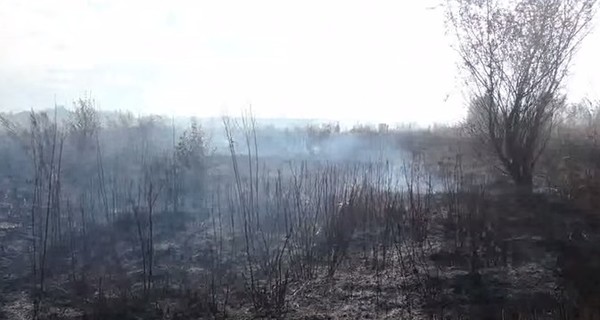 Под Киевом увеличивается площадь горящих торфяников 
