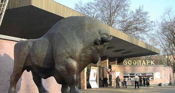 Киевский зоопарк: 