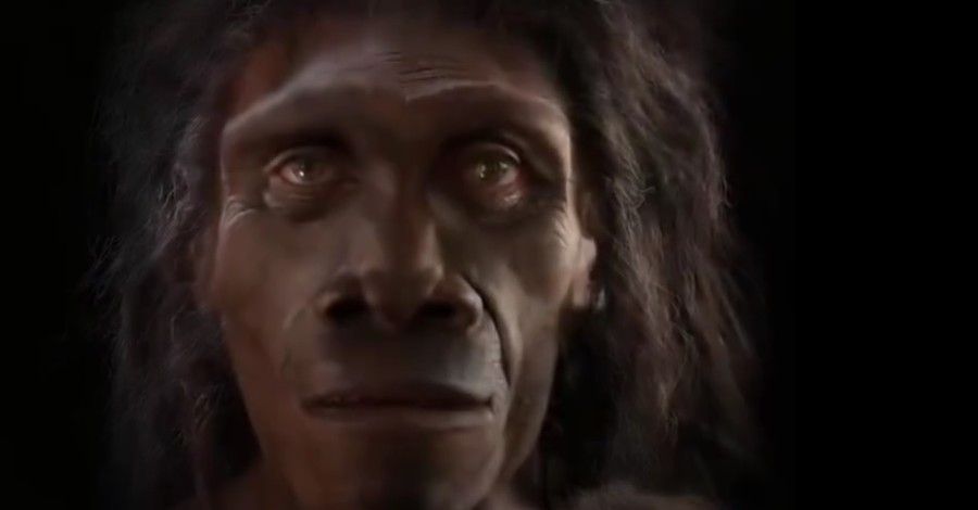 Из обезьяны в человека: создали видео эволюции человеческого лица за 6 миллионов лет 