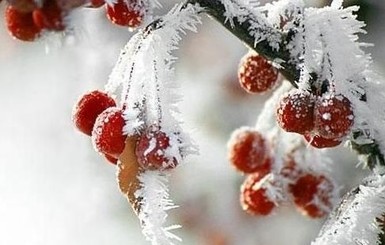 В понедельник, 28 декабря, морозы начнутся с востока и севера