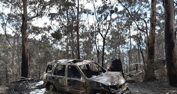 В Австралии жители покидают дома из-за лесных пожаров