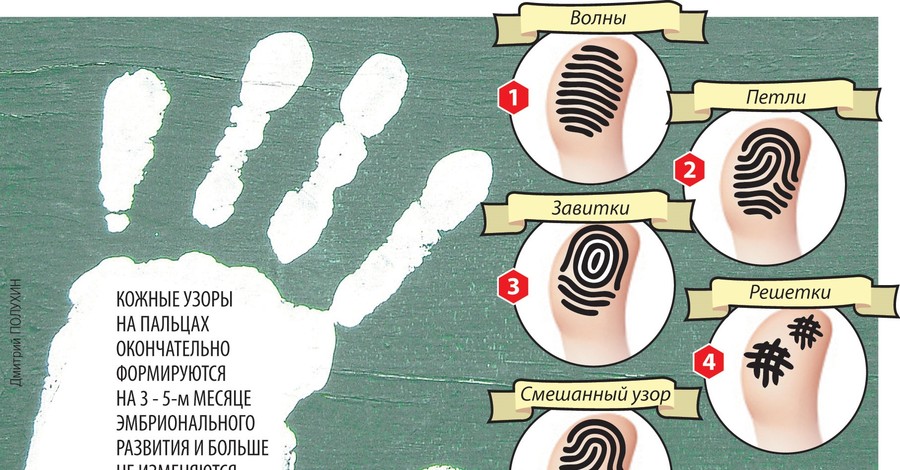 Узнай характер по отпечаткам пальцев 