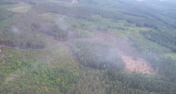 В Киевской области вновь боятся торфяных пожаров