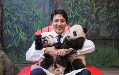 Премьер-министр Канады с пандами покорил Интернет