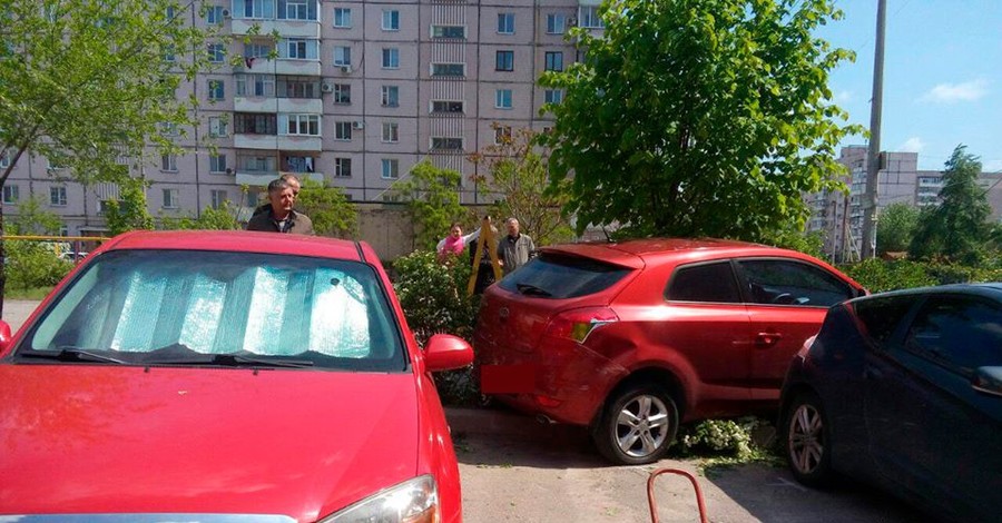В Запорожье девушка перепутала педали в машине и застряла в кустах