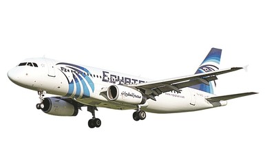 Эксперты о гибели египетского лайнера: поворот самолета в воздухе на 360 градусов - это перебор