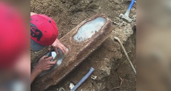 Во дворе дома в Сан-Франциско откопали гроб с девочкой, умершей в 19 веке