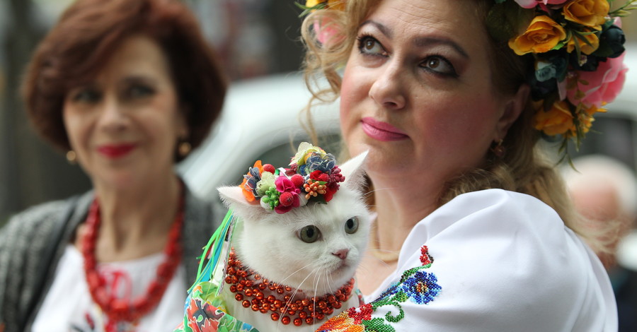 Как в Киеве празднуют день города