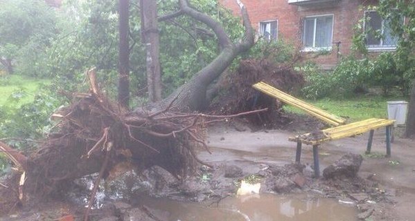 Ураган в Харькове: десятки поваленных деревьев и затонувшие магазины