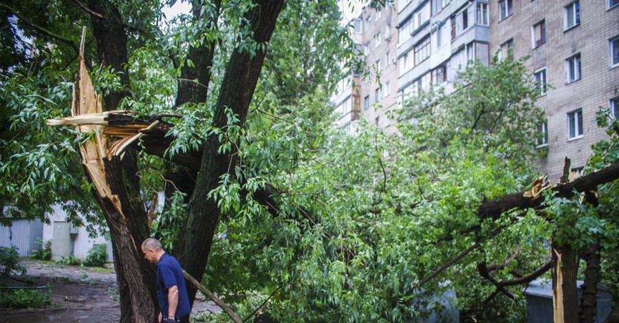 Такого сильного урагана в Харькове не было 55 лет