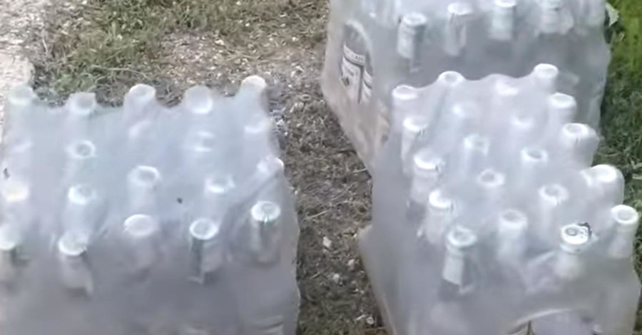 Пограничники не пустили в Россию украинца с тремя ящиками водки