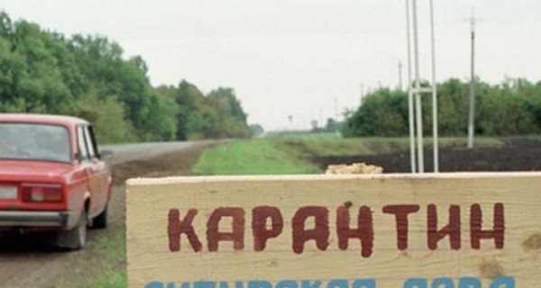 В Казахстане скончались двое мужчин с подозрением на сибирскую язву