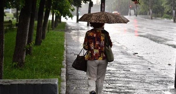 В пятницу, 24 июня, кратковременные дожди пройдут в Карпатах и Винницкой области