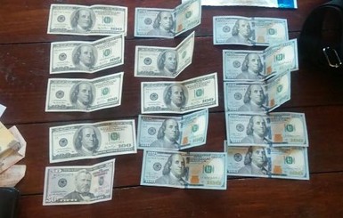 Директора Карпатского заповедника поймали на взятке в 1,5 тысячи долларов