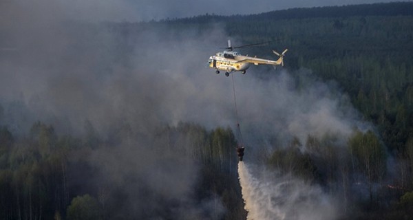 В Зоне отчуждения горит лес, задействована авиация