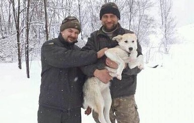 Военные АТО рассказали, как собака спасла им жизнь