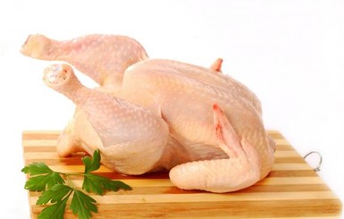 Израильские светила научились выращивать искусственное куриное мясо