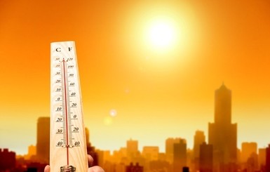 Жертвами аномальной жары в Японии стали пятеро