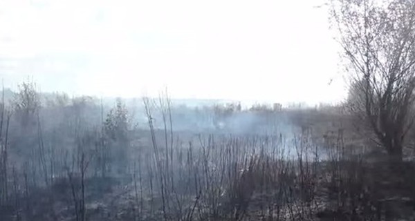Под Киевом снова загорелись торфяники 