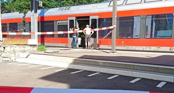 Напавший на поезд в Швейцарии скончался от полученных травм