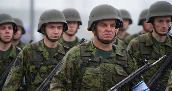 В Эстонии правительство разработает план действий в случае войны