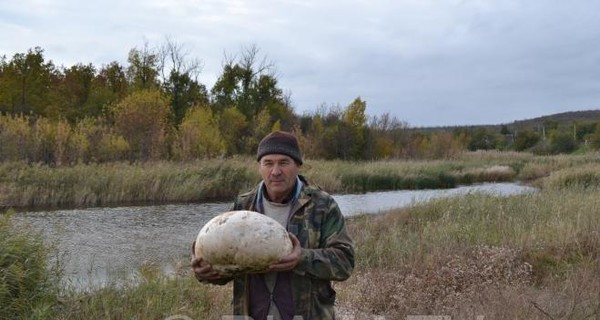 В Мелитополе нашли гигантский гриб-дождевик