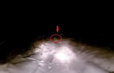 В России очевидец случайно снял на видео снежного человека