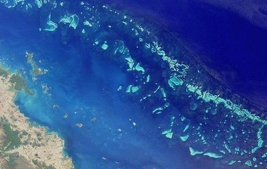 У берегов Австралии побелел Большой Барьерный риф