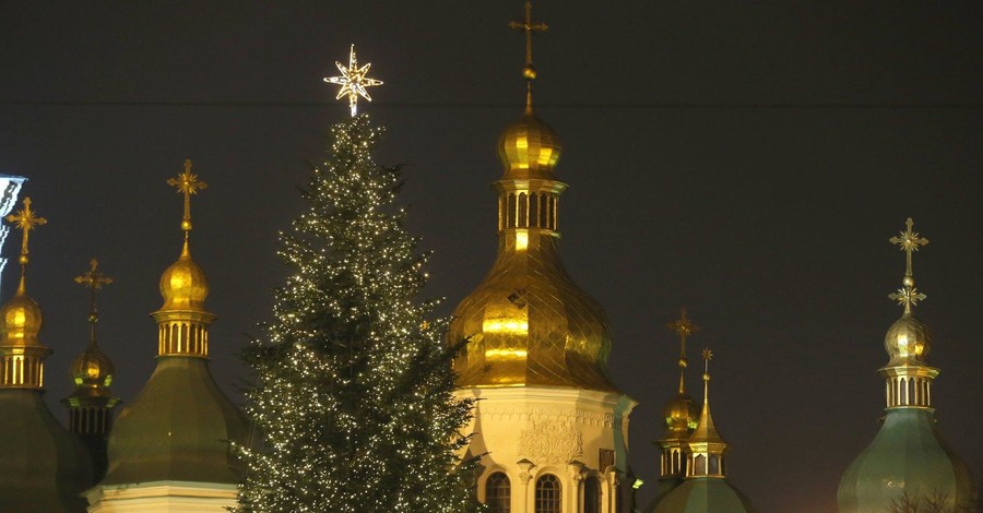 Лучшие елки страны: самая высокая в Харькове, самая 